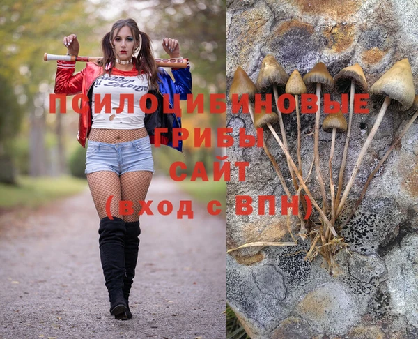 каннабис Новокубанск