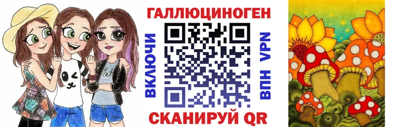 Галлюциногенные грибы Psilocybe купить Исилькуль