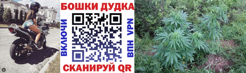 mega вход  Исилькуль  Конопля индика  даркнет сайт 